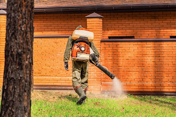 Top rated local Mosquito Control specialists in Petersburg, VA